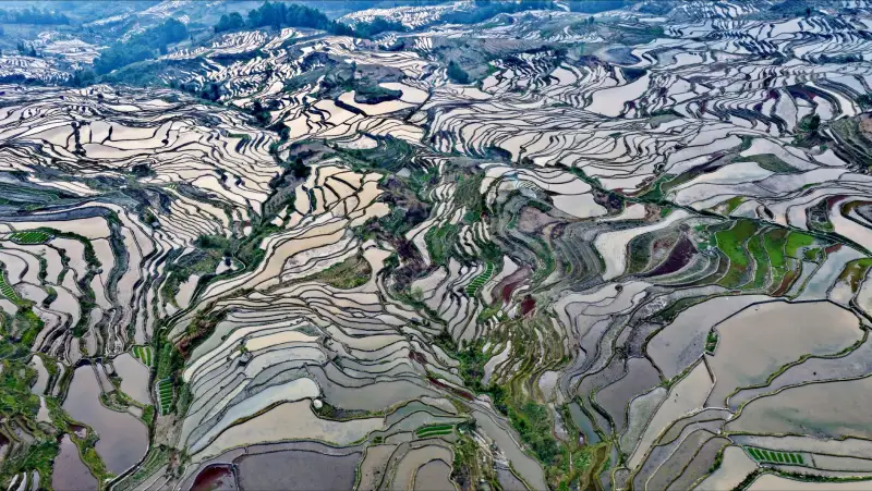 2025年上海企业OA系统选型指南:流程审批与档案管理一体化趋势分析
