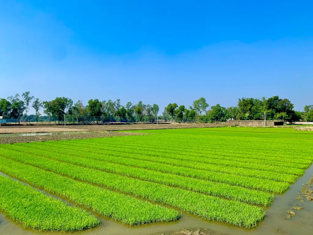 企业档案管理数字化建设：霆翔圣OA系统技术优势解析